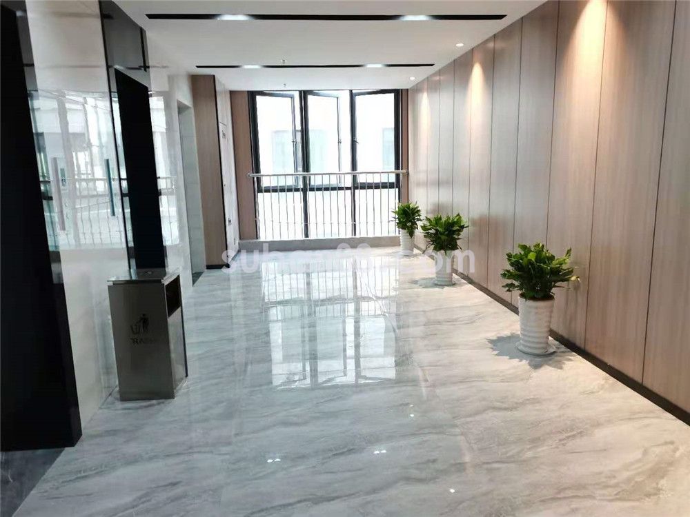 金月恒玺国际-图2