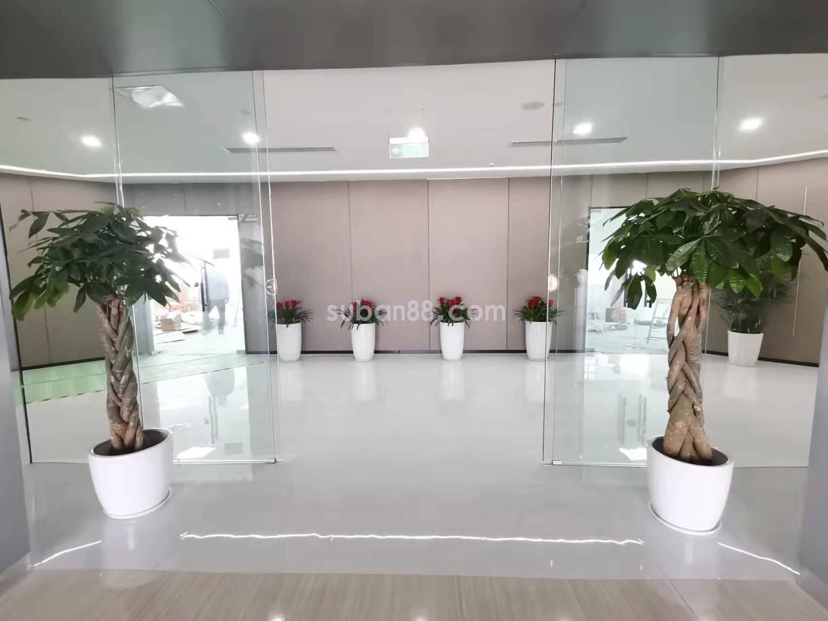 苏州市工业园区 甲级写字楼 豪装带家具 湖景房-图3