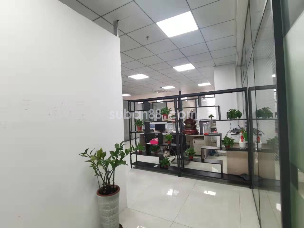 苏州市 吴中区 精装230平 甲方直租-图6
