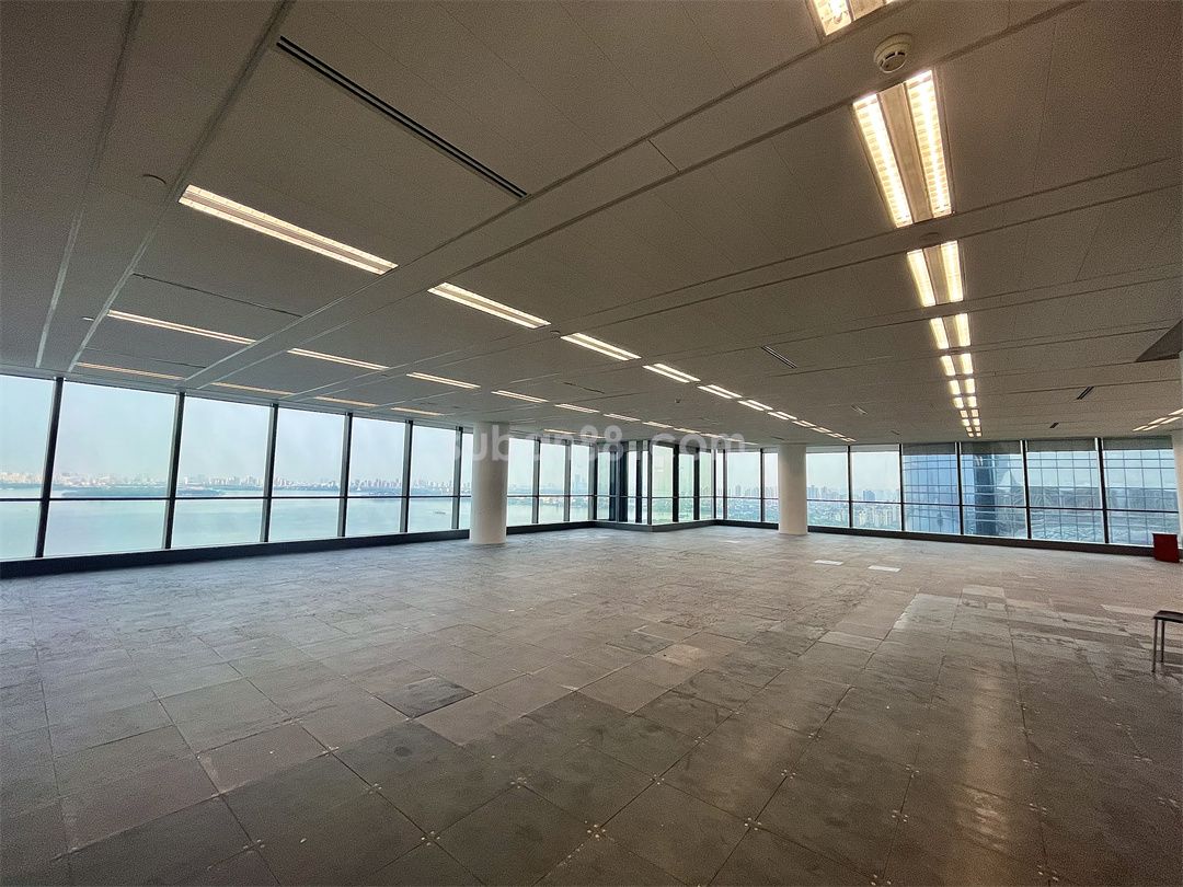 苏州中心东南朝向 湖景办公 户型方正-图1