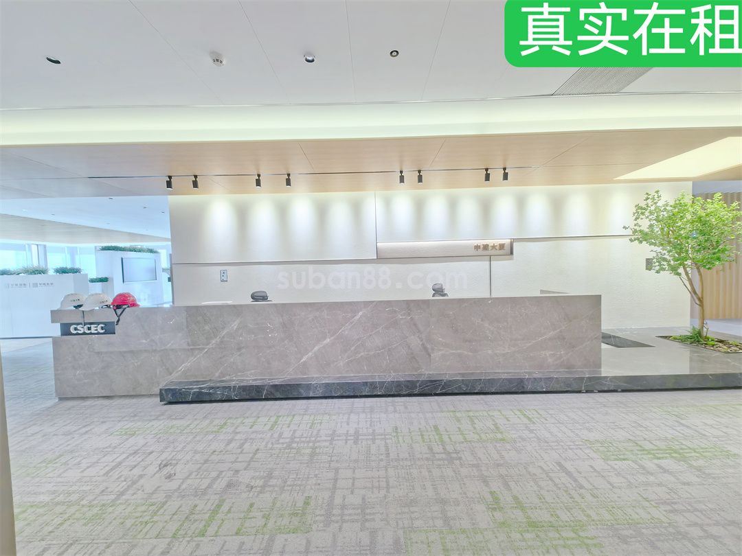 中建大厦-图3