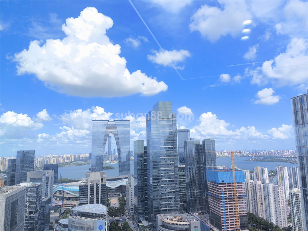 凤凰国际大厦-图4