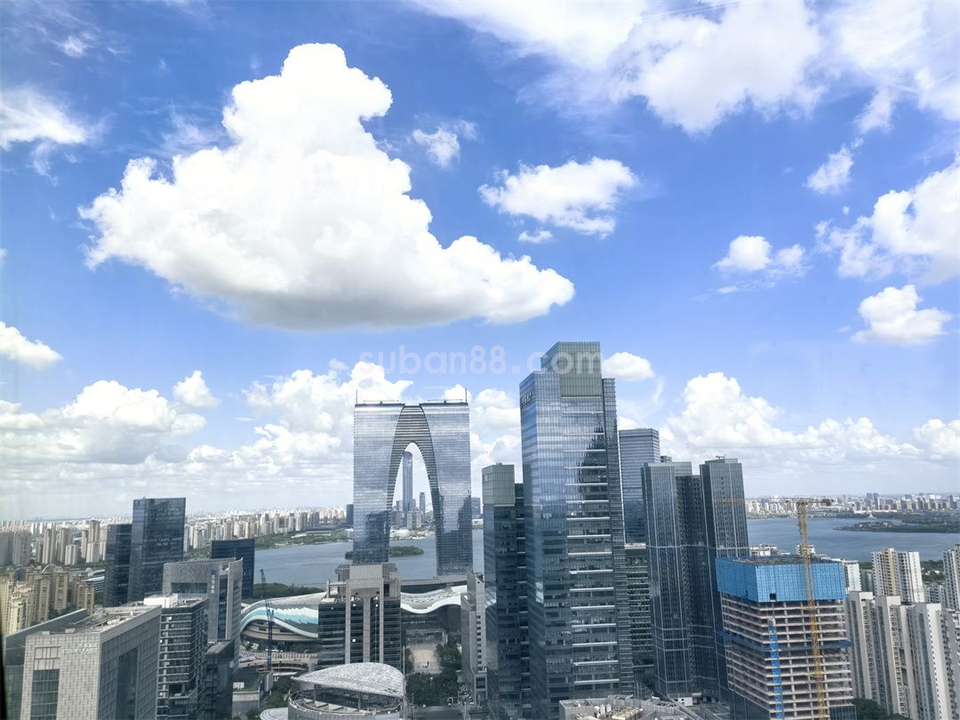 凤凰国际大厦-图6