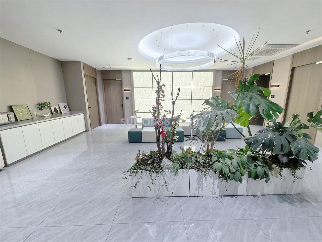 狮山总部经济中心-图1